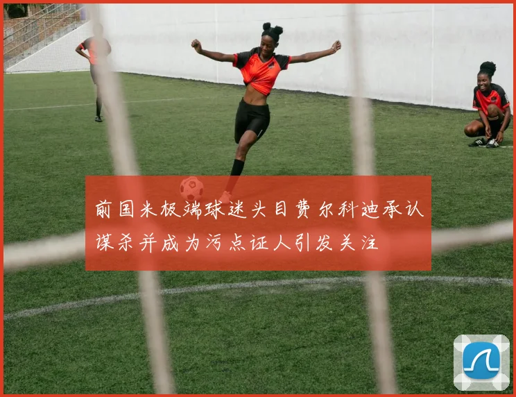 前国米极端球迷头目费尔科迪承认谋杀并成为污点证人引发关注
