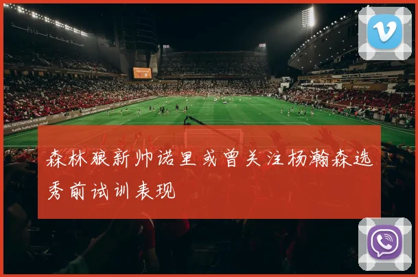 森林狼新帅诺里或曾关注杨瀚森选秀前试训表现